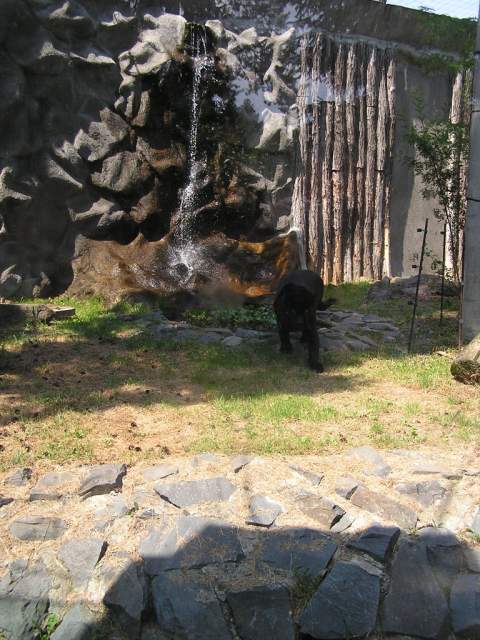 Foto_026.jpg