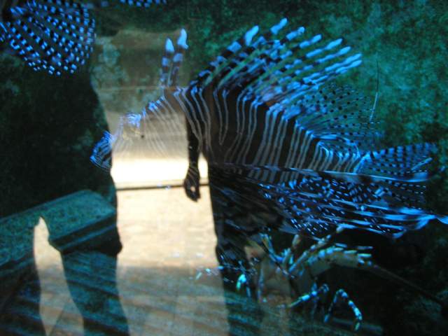 Foto_029.jpg