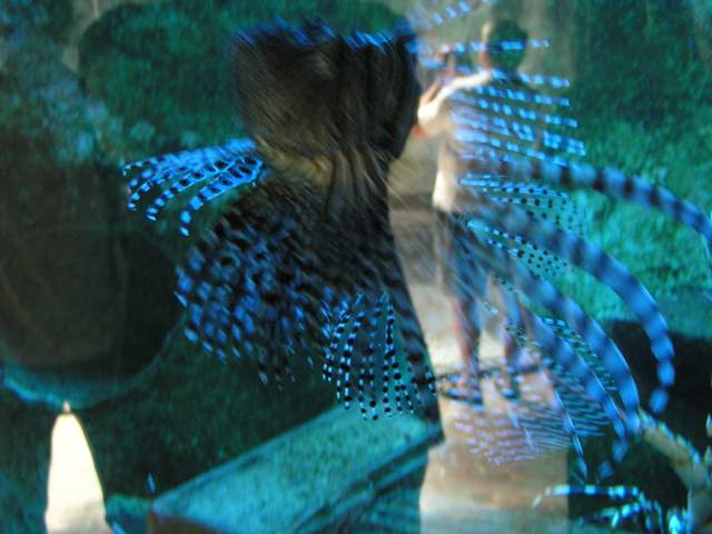 Foto_030.jpg