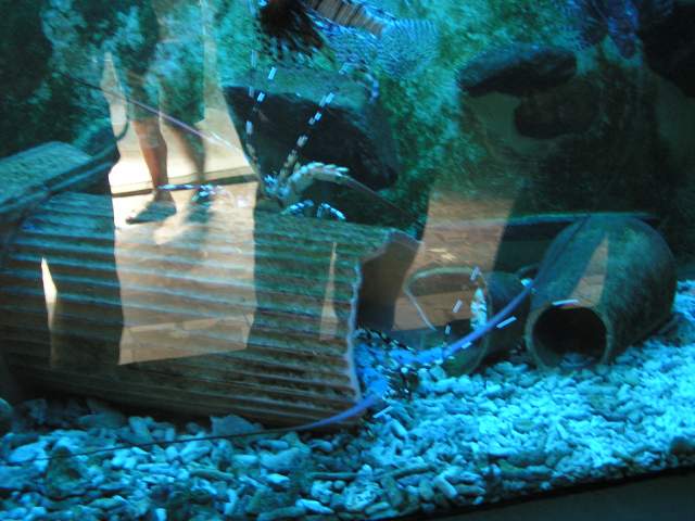 Foto_031.jpg