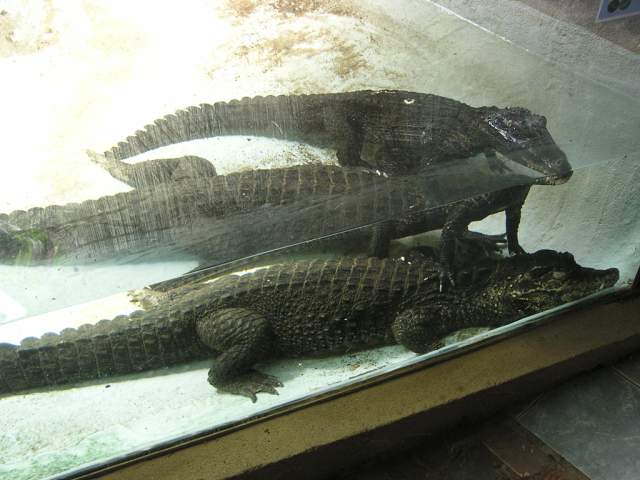 Foto_034.jpg