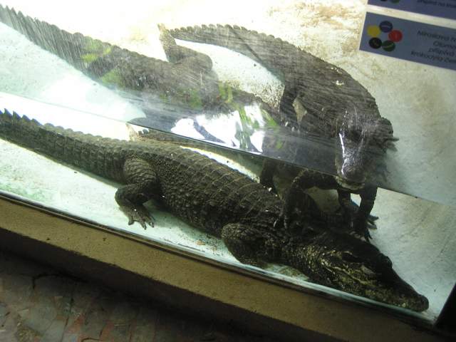 Foto_035.jpg