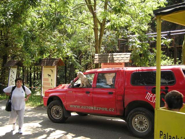 Foto_036.jpg
