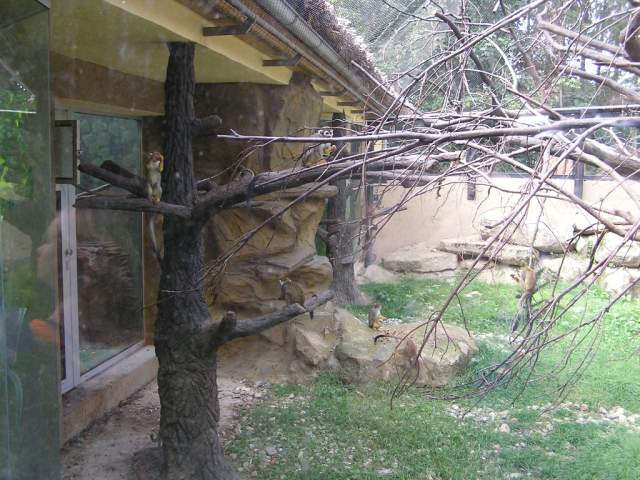 Foto_040.jpg