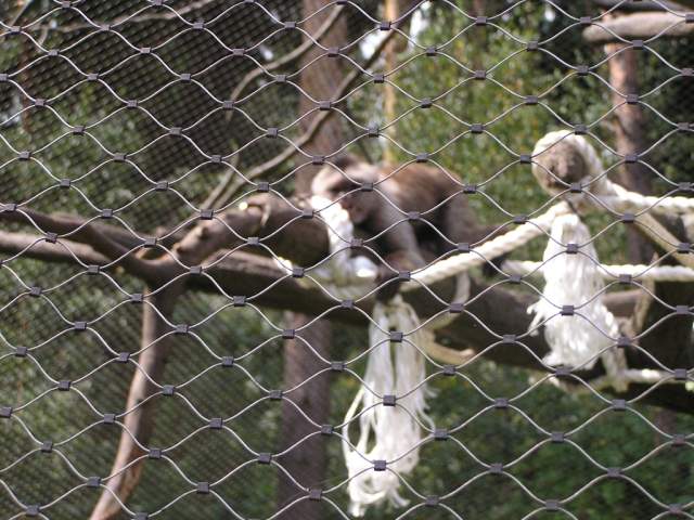 Foto_041.jpg