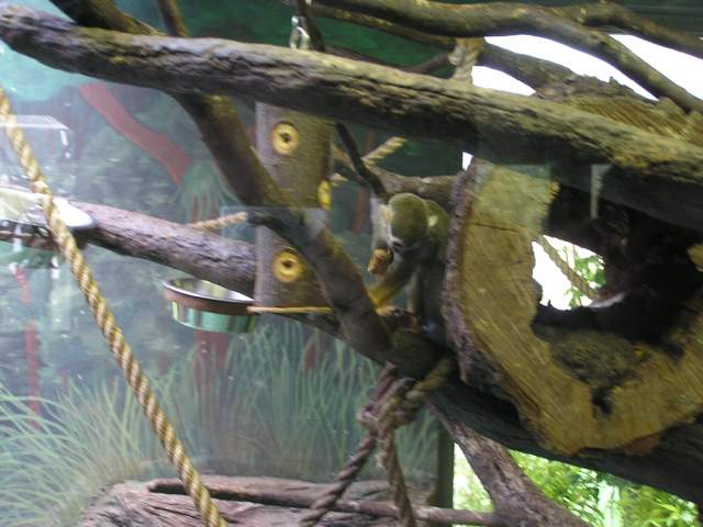 Foto_043.jpg