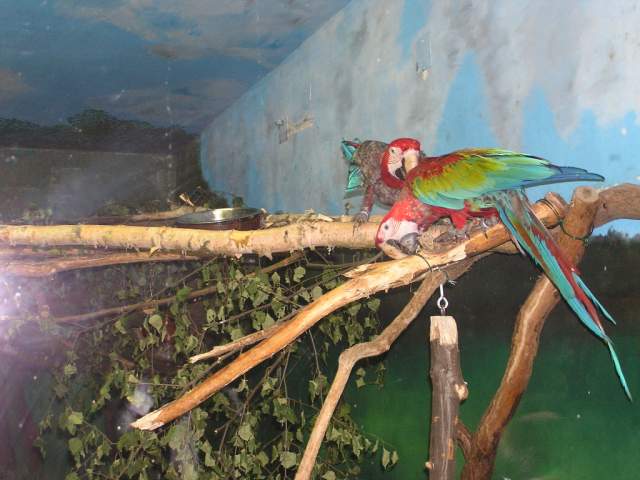 Foto_047.jpg
