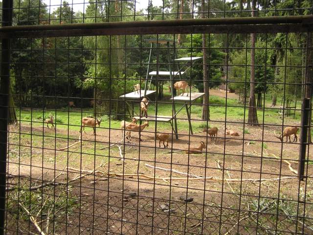 Foto_055.jpg