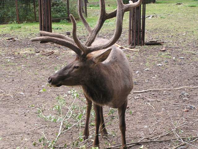 Foto_060.jpg
