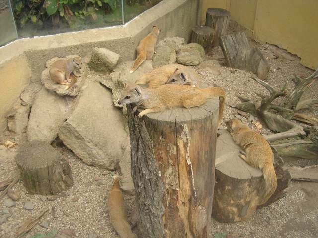 Foto_062.jpg