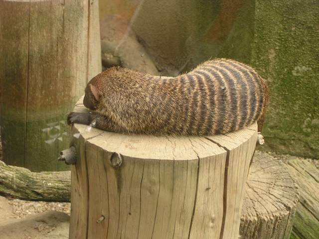 Foto_063.jpg