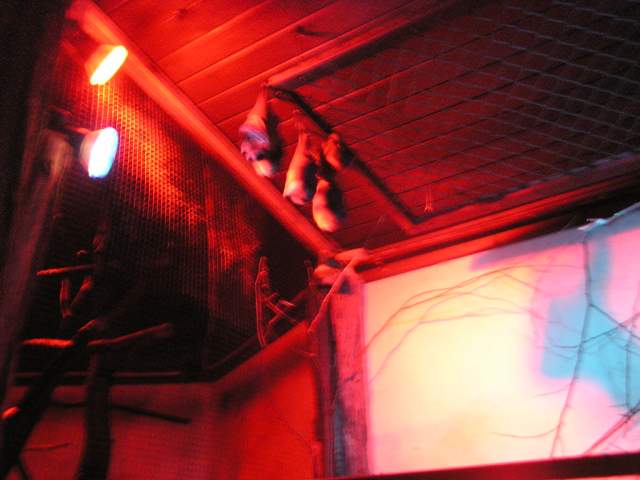 Foto_074.jpg