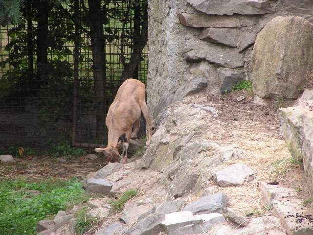 Foto_092.jpg