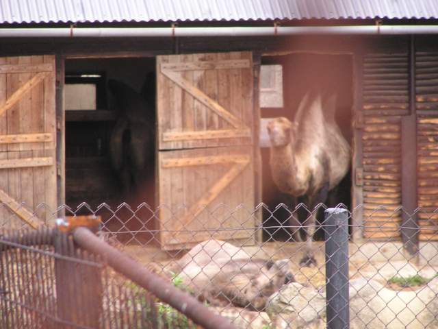 Foto_097.jpg