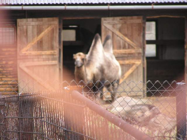 Foto_098.jpg