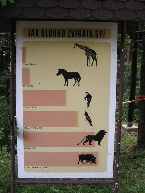 Foto_101.jpg