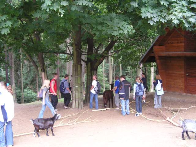 Foto_123.jpg
