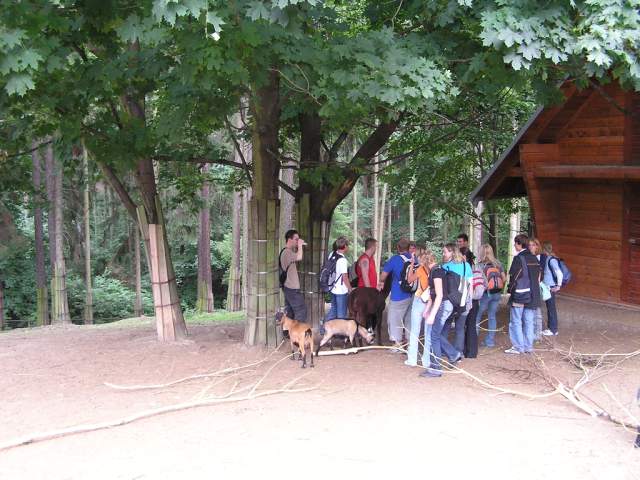 Foto_125.jpg