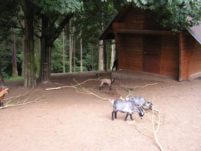 Foto_126.jpg