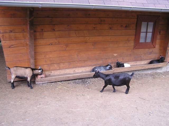 Foto_127.jpg