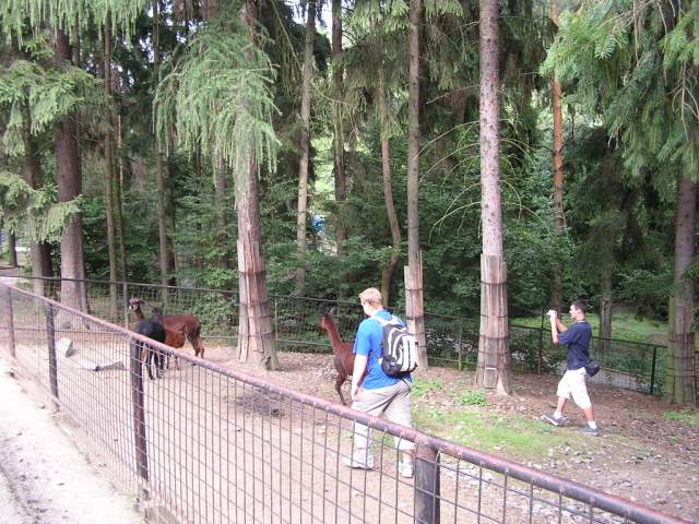Foto_128.jpg