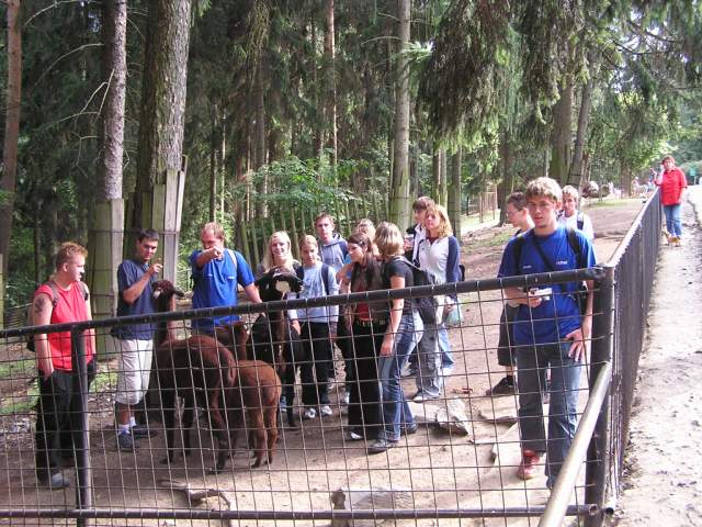 Foto_129.jpg