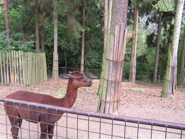 Foto_132.jpg