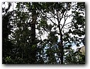 Foto_010.jpg