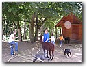 Foto_013.jpg