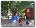 Foto_014.jpg