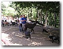 Foto_016.jpg
