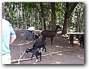 Foto_017.jpg