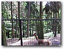 Foto_024.jpg
