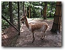 Foto_025.jpg