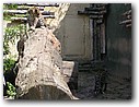 Foto_027.jpg