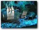 Foto_031.jpg