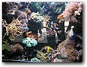 Foto_032.jpg