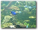 Foto_033.jpg