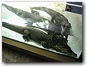 Foto_035.jpg