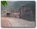 Foto_037.jpg