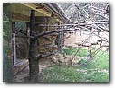 Foto_040.jpg