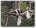 Foto_041.jpg