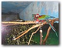 Foto_047.jpg