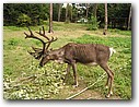 Foto_052.jpg