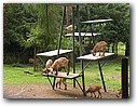 Foto_053.jpg