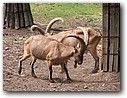Foto_054.jpg