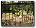 Foto_055.jpg