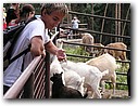 Foto_057.jpg