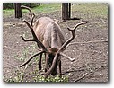 Foto_059.jpg