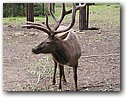 Foto_060.jpg